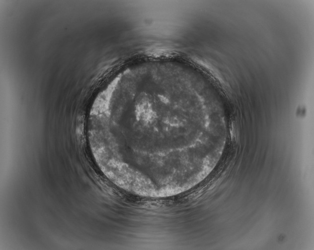 X0000099381396200806051110
