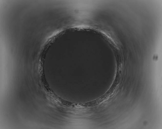 X0000099381398200806051110