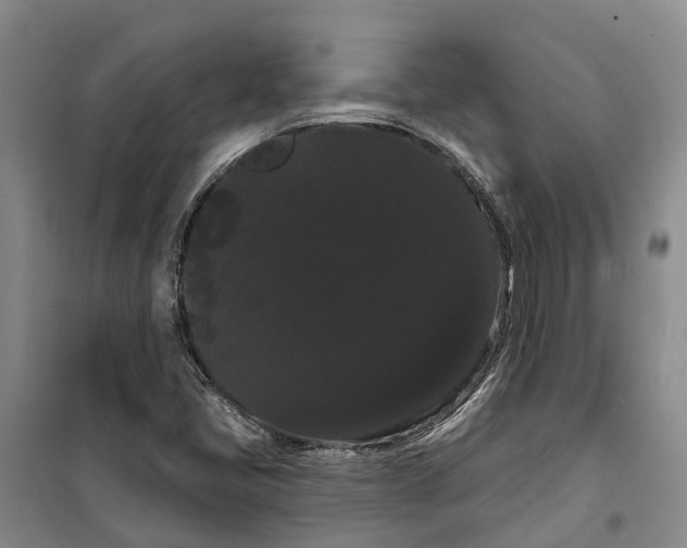X0000099381405200806051110