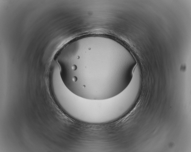 X0000099381410200806051110