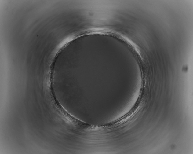 X0000099381411200806051110