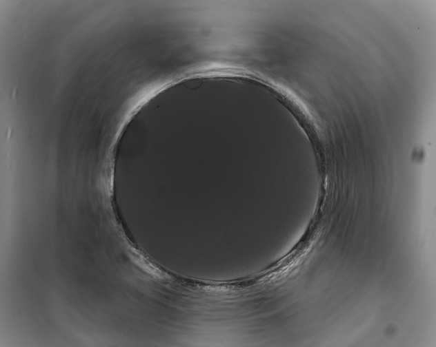 X0000099381413200806051110