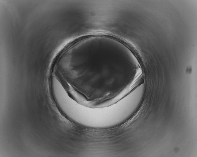 X0000099381414200806051110