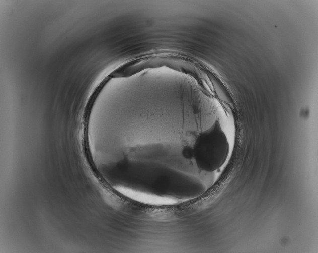 X0000099381418200806051110