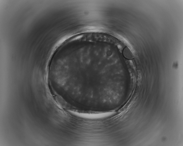 X0000099381419200806051110