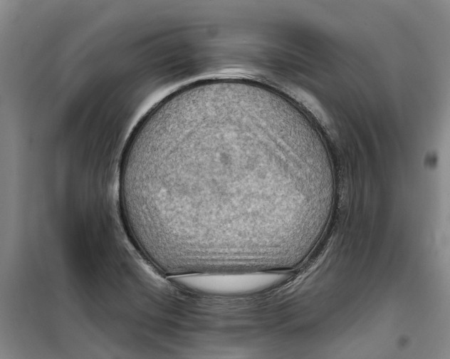 X0000099381420200806051110