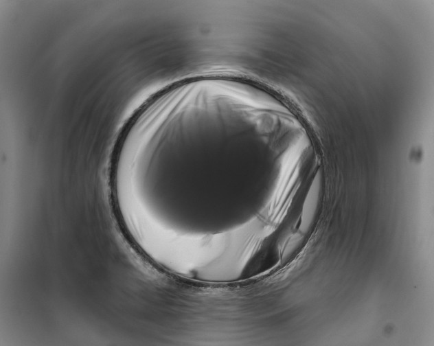 X0000099381422200806051110