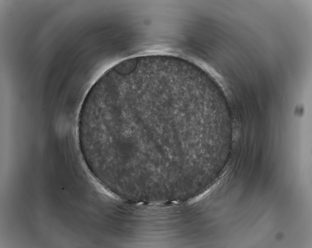 X0000099381423200806051110