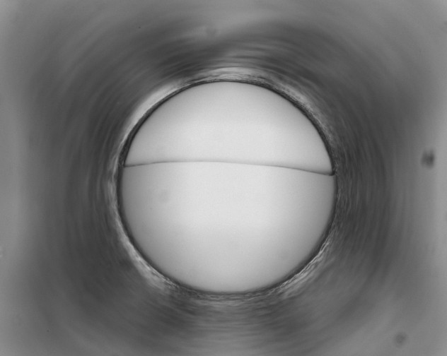 X0000099381426200806051110
