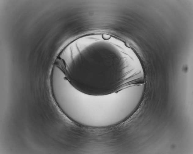 X0000099381428200806051110
