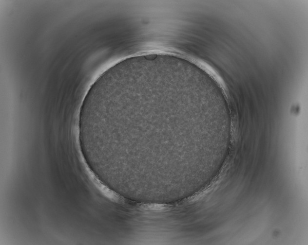 X0000099381431200806051110