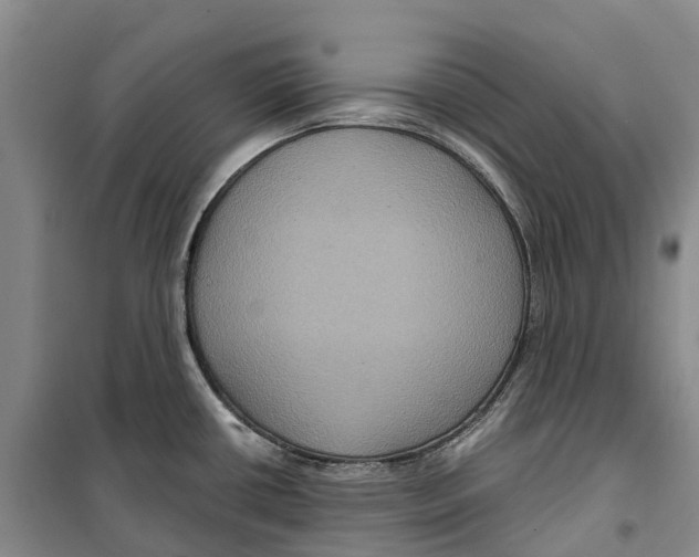 X0000099381434200806051111