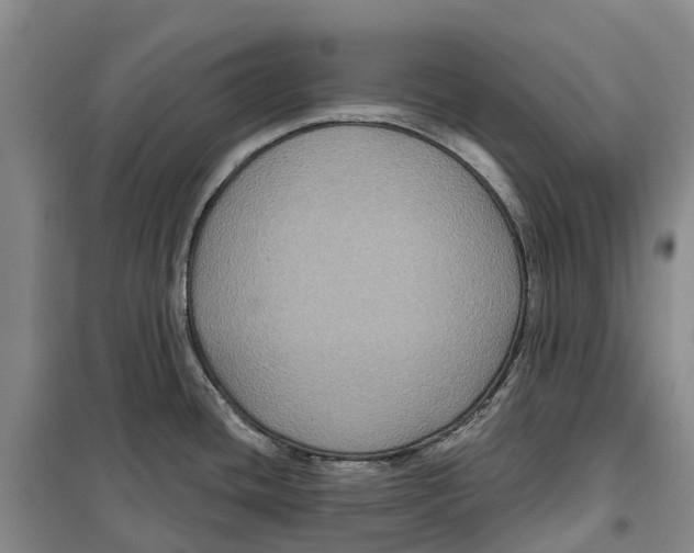 X0000099381436200806051111