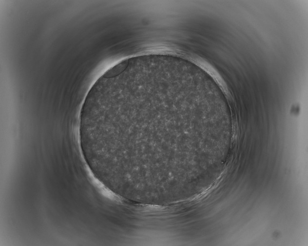 X0000099381439200806051111