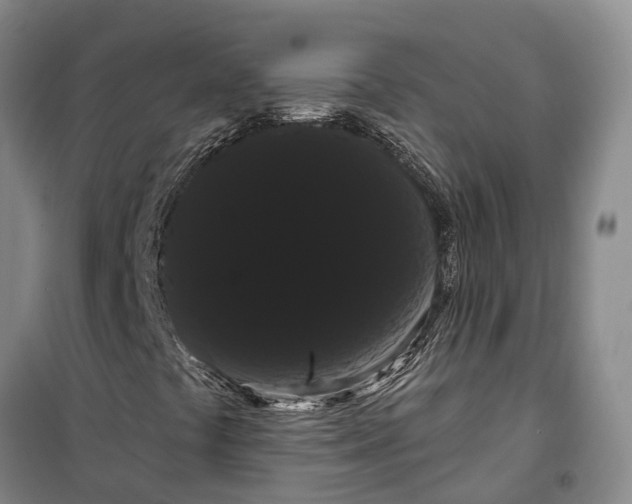 X0000099381441200806051110