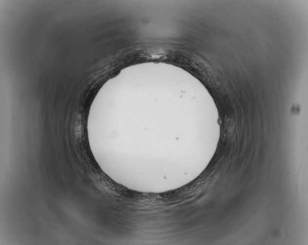 X0000099381442200806051110