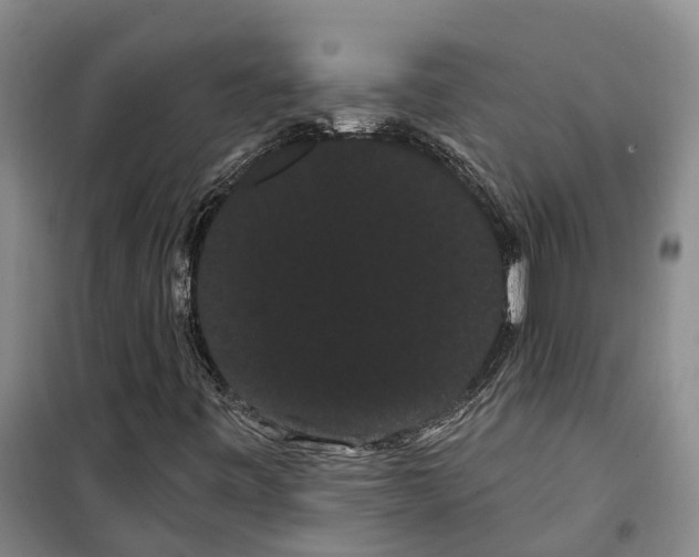 X0000099381443200806051110