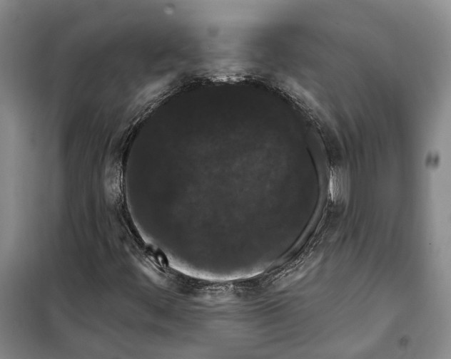 X0000099381444200806051110