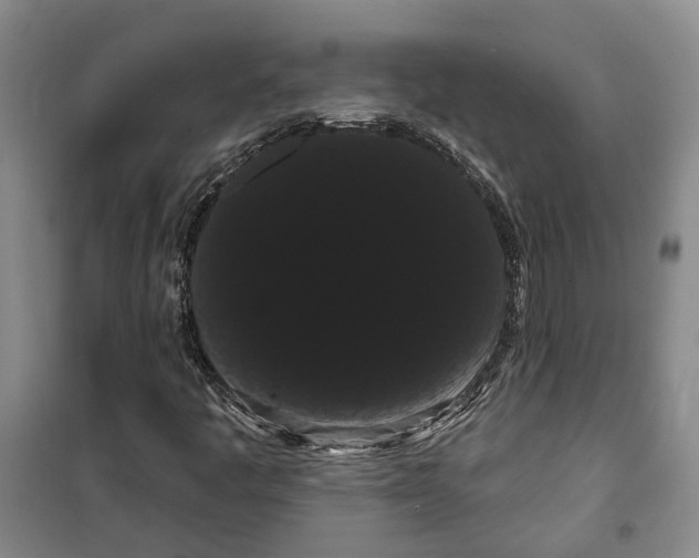 X0000099381445200806051110