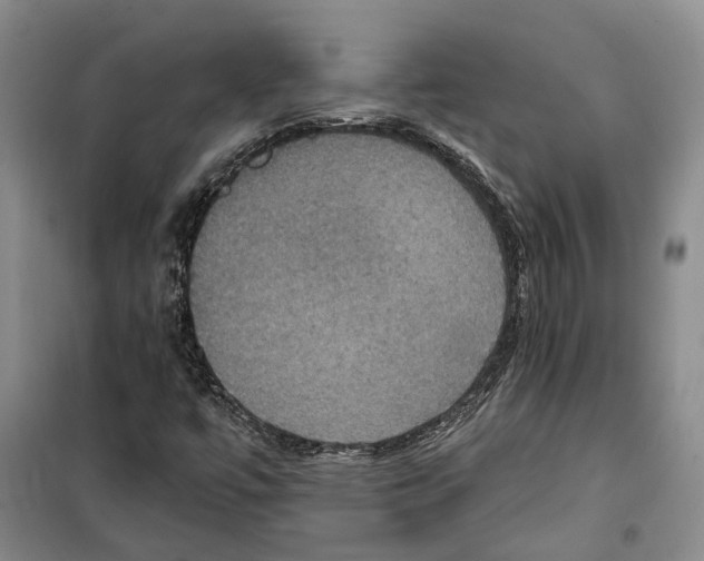 X0000099381447200806051110