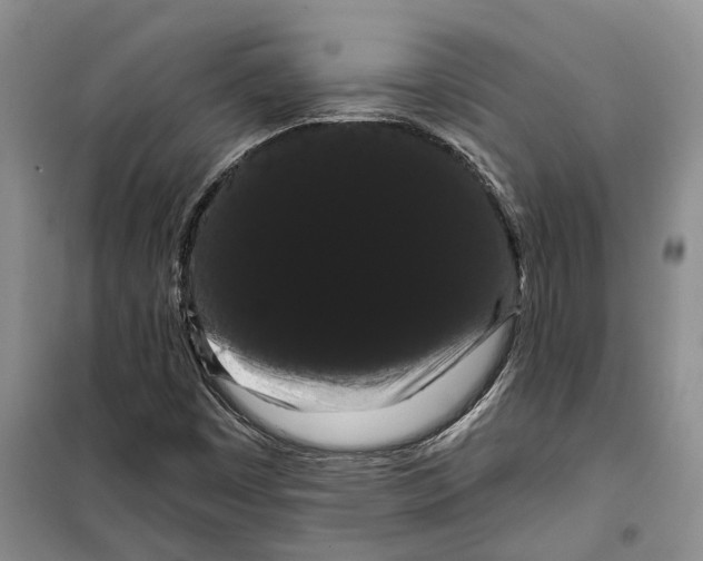 X0000099381449200806051110