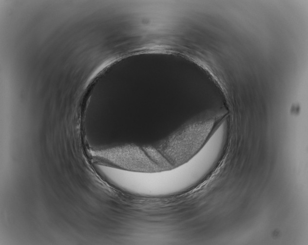 X0000099381450200806051110