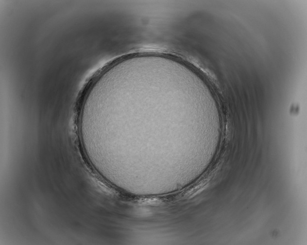 X0000099381454200806051110