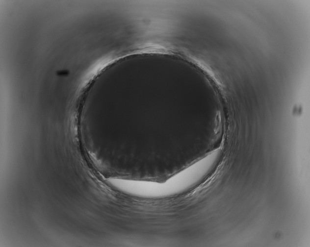 X0000099381455200806051110