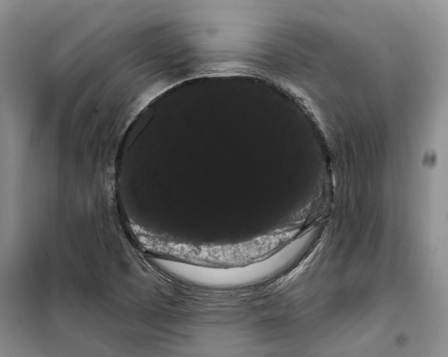 X0000099381457200806051110