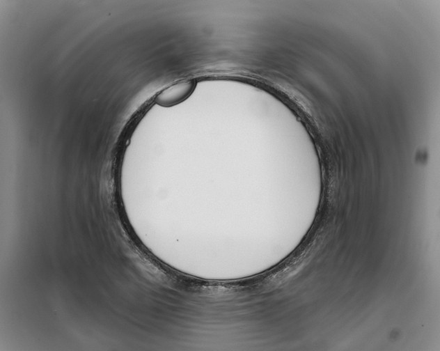 X0000099381458200806051110