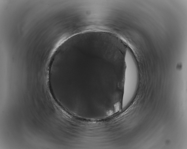 X0000099381459200806051110