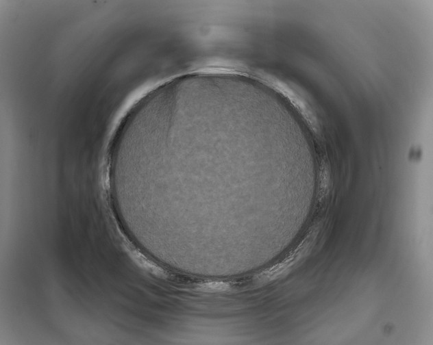 X0000099381462200806051110