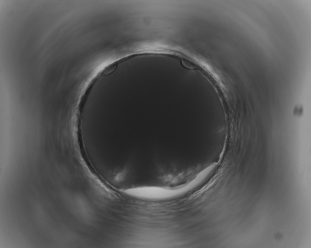 X0000099381463200806051110