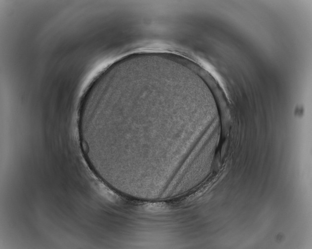 X0000099381464200806051110