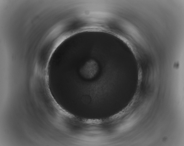 X0000099381466200806051110
