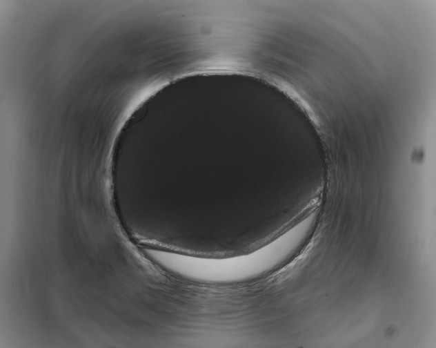 X0000099381469200806051110