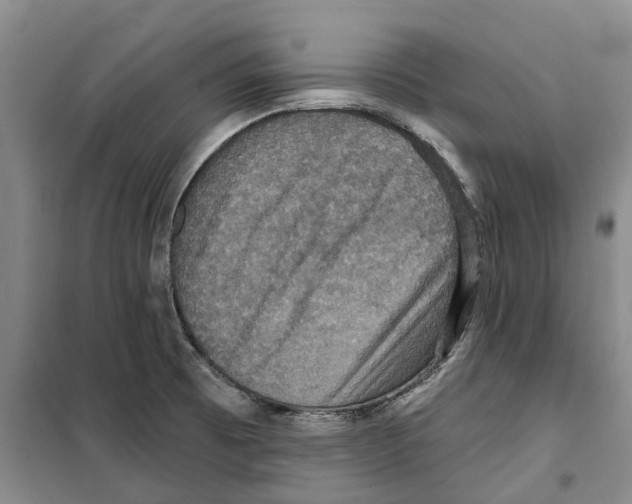 X0000099381473200806051109