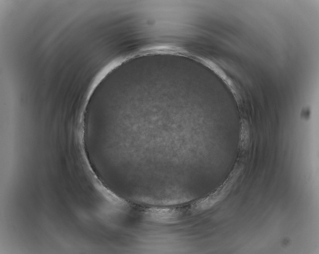 X0000099381474200806051109