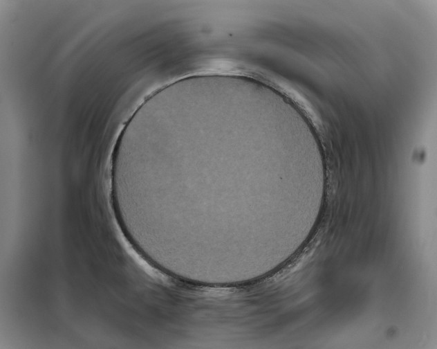 X0000099381479200806051109