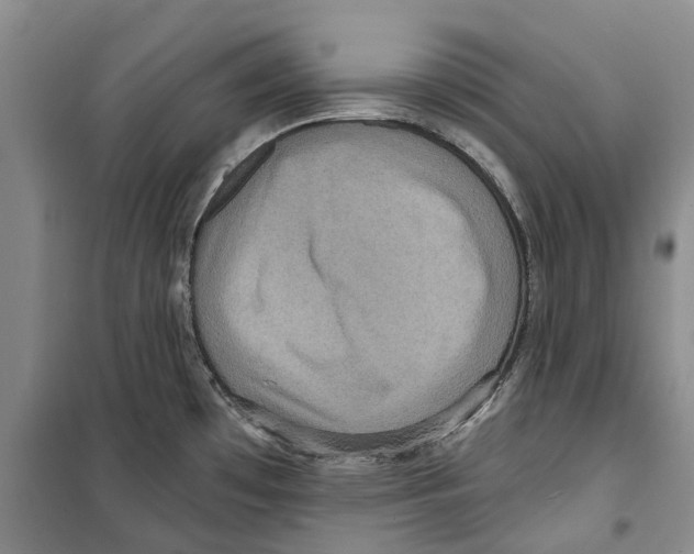 X0000099381481200806051109