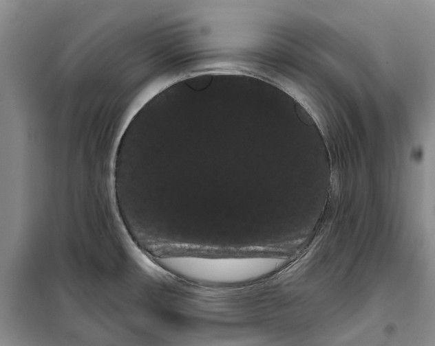X0000099381482200806051109