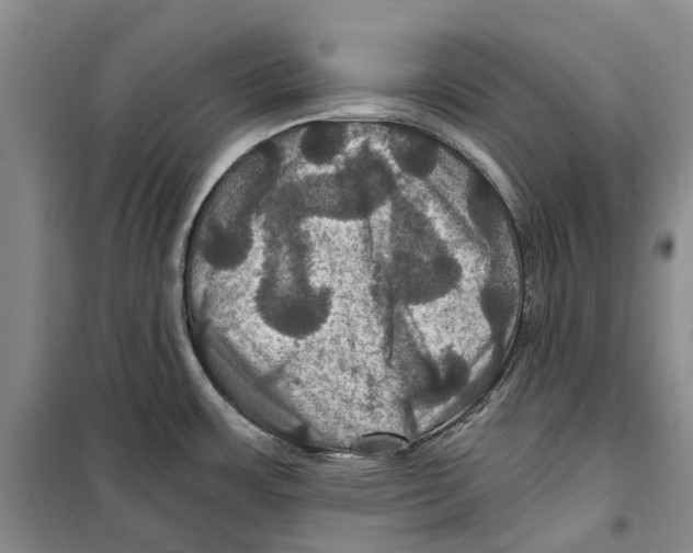 X0000099381483200806051109