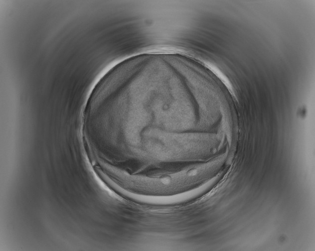 X0000099381484200806051109