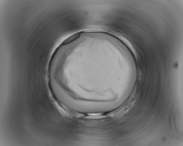 X0000099381485200806051109