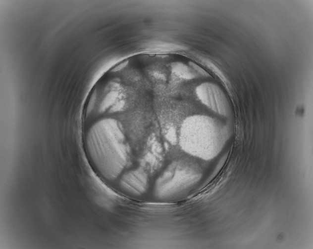 X0000099381487200806051109