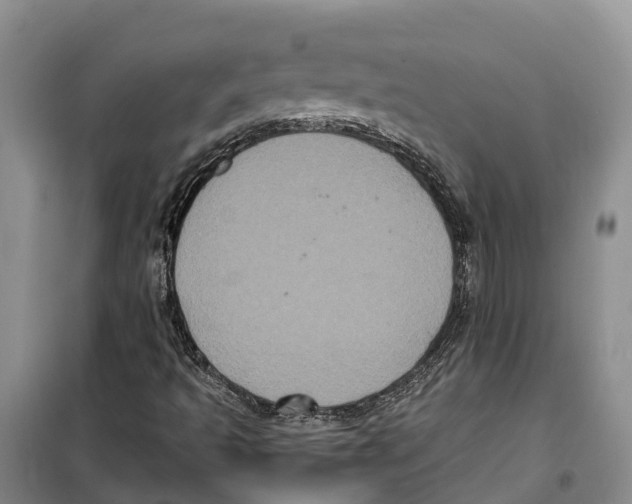 X0000099381493200806051108