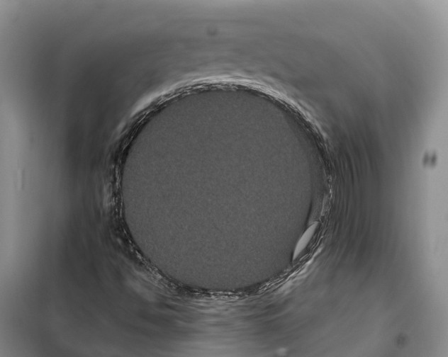 X0000099381494200806051108