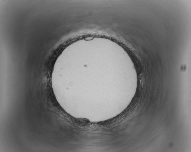 X0000099381495200806051108