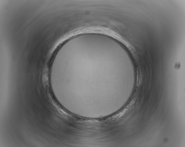 X0000099381498200806051109