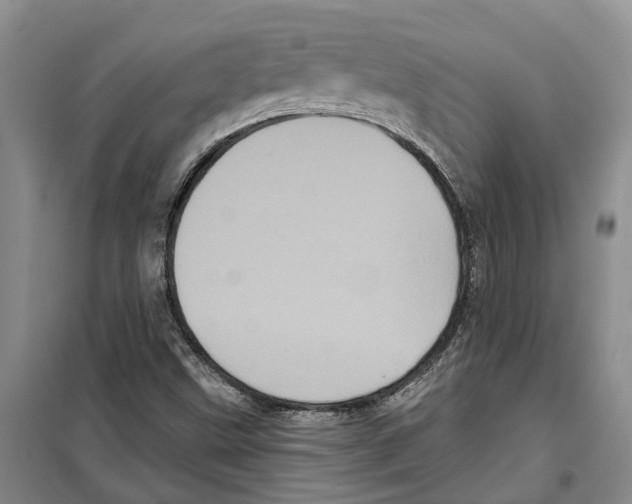 X0000099381499200806051109
